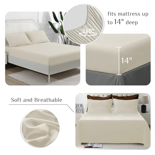 Oversized Queen Comforter Set 7-Piece Bed in a Bag Brown & Beige