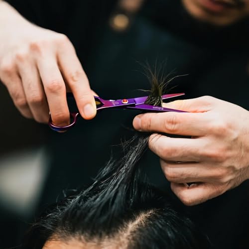 Ethyxe Purple Professional Hair Cutting Scissors Kit with Japanese Steel & Thinning Shears