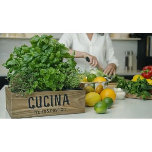 Cucina Fruits & Passion Hand Soap Refill ? Coriander & Olive Tree ? 1 Liter (33.8 fl oz) ? Olive Oil Enriched Kitchen Hand Soap ? Biodegradable Formula ? Vegan ? Made in Canada
