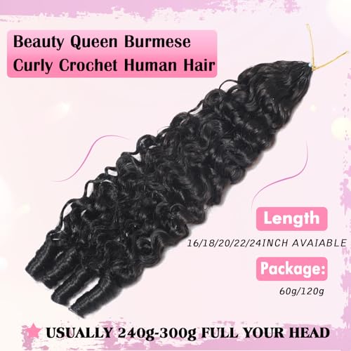 Beauty Queen Burmese Curly Crochet Hair 16 Inch 60g Knotless Pre-Separated Spiral Curl for Women - 1B