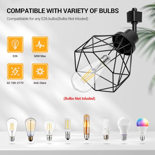 E26 Track Lighting Heads with Metal Cage - Adjustable 4-Light Black Fixture