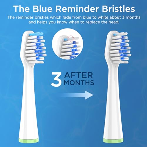 8 Pack Waterpik Sensonic Electric Toothbrush Replacement Heads Without Case - White & Gray