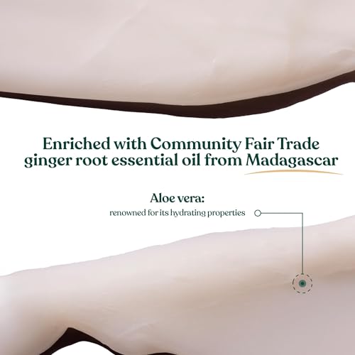 The Body Shop Ginger Scalp Care Conditioner 8.4 Fl Oz - Strengthen & Soothe Weak, Dry Hair