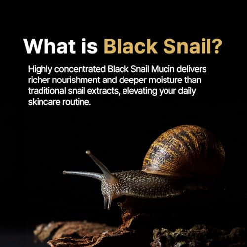 Black Snail & Peptide Toner for Skin Elasticity & Glow - Korean Skincare