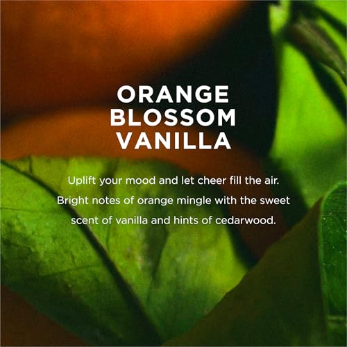 EO Liquid Hand Soap, 12 Ounce (Pack of 3), Orange Blossom and Vanilla, Organic Plant-Based Gentle Cleanser with Pure Essential Oils