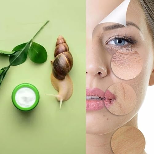 BREYLEE Vitamin C Serum for Face & Eye (o.6 oz) for Brightening Skin,Dark Spot Remover,Reduce Wrinkle,Anti Aging Serum,Moisturizer Brightening Serum with Hyaluronic Acid,Vitamin E,Retinol, Niacinamide