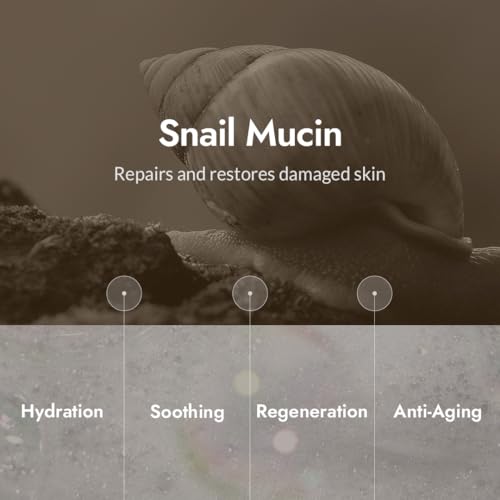 MIZON Snail Repair Intensive Toner - Hydrating Skin Care for Radiance & Resilience, 3.38 fl oz