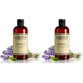 C.O. Bigelow Lavender Peppermint Shampoo, Sulfate Free Shampoo, Hair Wash with Lavender & Peppermint Essential Oils, 10.4 Fl Oz (Pack of 2)
