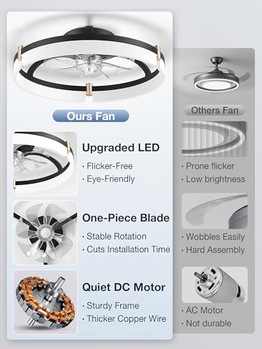 20-Inch Smart Ceiling Fan with Lights, Remote & Alexa Control, Black+Gold, Low Profile Flush Mount