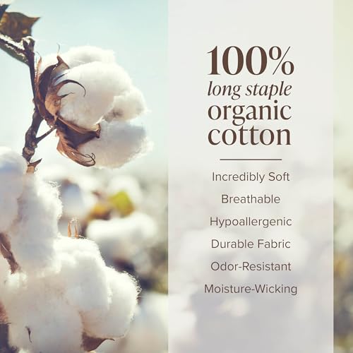 Bare Home King Organic Cotton Percale Sheet Set - White, 4-Piece, OEKO-TEX Certified