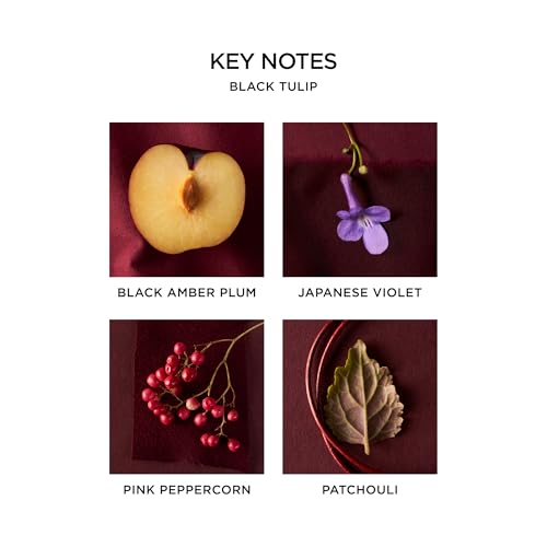 NEST New York Black Tulip Collection 8ml EDP Travel Spray - Floral Fragrance
