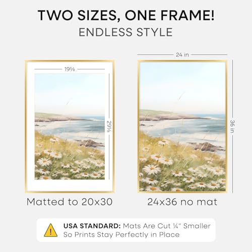 Gold Picture Frame 24x36 - Metal Wall Frame with 20x30 Mat & Clear Glass