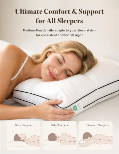 Queen Size Dual-Layer Goose Feather Down Pillow Set of 2 White