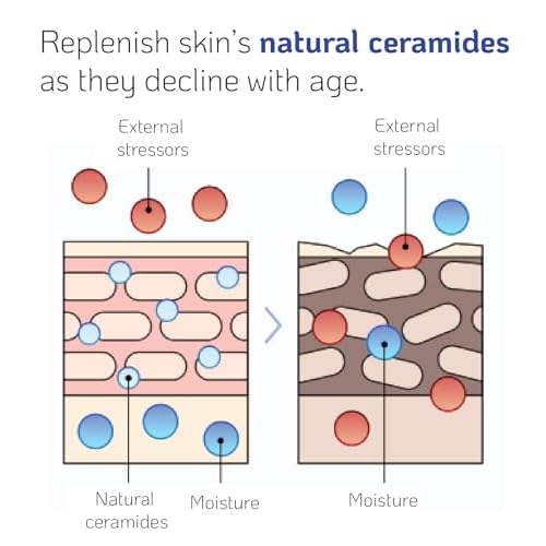 Versatile High-Potency Ceramide Concentrate Mix 1-2 Drops with Any Product Hydrating Moisturizer Enhancer Strengthening Skin Barrier 41ml