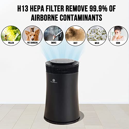 SilverOnyx Black 5-in-1 HEPA Air Purifier for Large Rooms Up to 500 Sq Ft