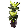 Artificial Golden Dieffenbachia Plant with Decorative Pot - 45 Inches Tall