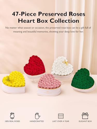 Eterfield 47 Red Forever Preserved Roses in Heart-Shaped Box – Lasts 1 Year Gift for Her