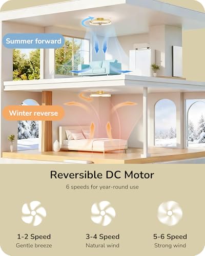 EDISHINE Gold 20'' Low Profile Ceiling Fan with Lights, Remote & App Control