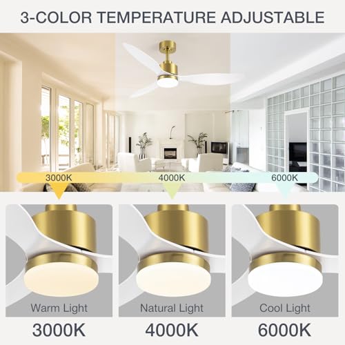 Breezary 52-Inch Gold & White Ceiling Fan with Lights and Remote, Reversible Blades, Quiet DC Motor for Large Rooms