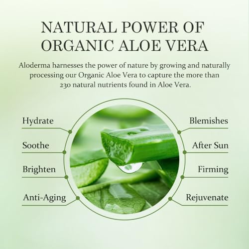 All Purpose Aloe Vera Gel Set - 3 Pieces - Skin Hydrator, 114g Aloe Vera Gel & 45g Aloe Vera Gel Travel Size