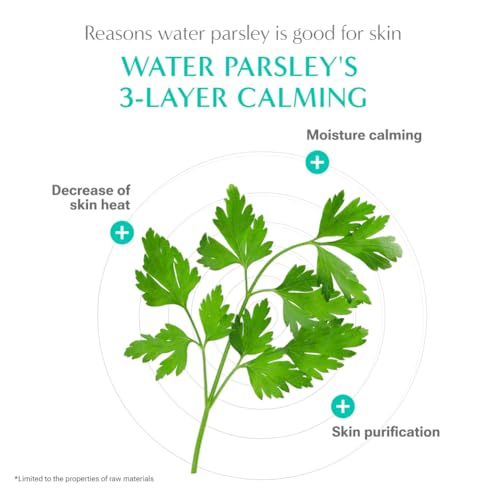 RATAPLAN Water Parsley Calming Cleanser, Acid-Balanced, BHA Salicylic Acid, Remove Sebum Harmful Bateria 5.07 fl.oz 150ml