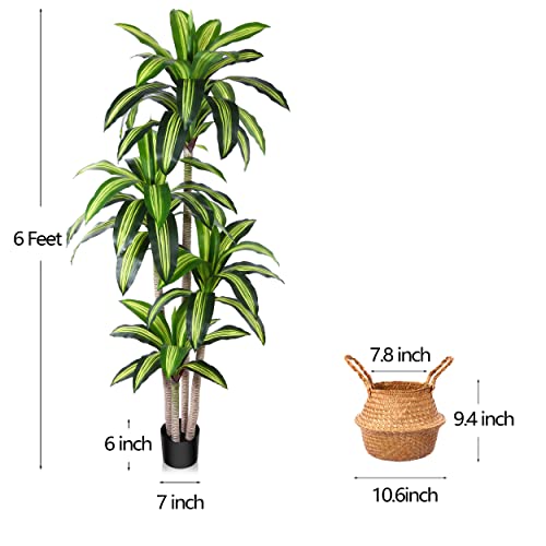 Artificial Dracaena Tree 6 Ft with Black Basket - Indoor Faux Plant, Realistic Decor