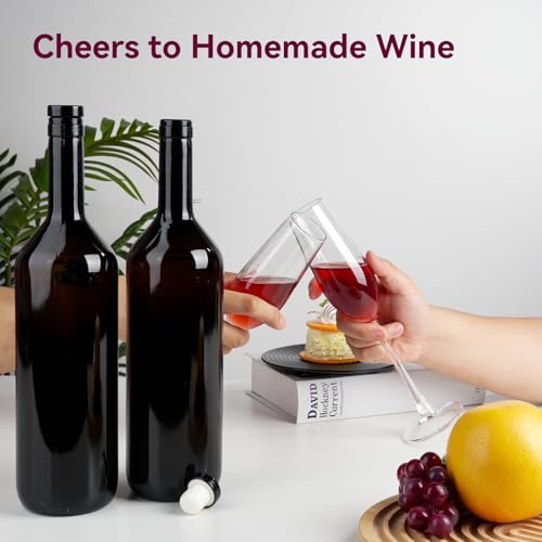 Home Brewing Wine Making Kit - Complete Grape Juice Fermentation Set for Beginners, 1-Gallon Jar & Bottles