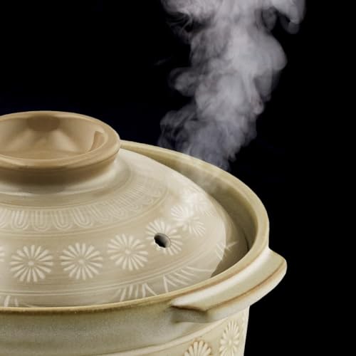 TIKUSAN Donabe Japanese Hot Pot 2.3 Quarts Banko Ware Made in Japan