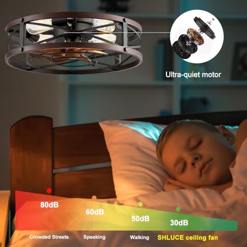 20-Inch Caged Ceiling Fan with Light and Remote Control - Brown & Black Variations