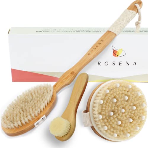 Dry Brushing Body Brush Set for Skin Exfoliation & Toxin Removal - Long Handle Back & Face Brush Bundle