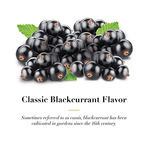 Blackcurrant Fruit Pastilles for Voice & Throat Relief - Multipack of 3, Travel Size & Tin