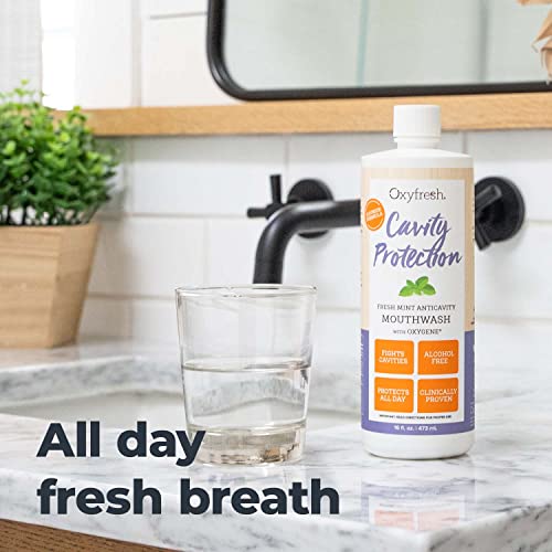 Oxyfresh Cavity Protection Fluoride Mouthwash 16 Fl Oz Pack of 3 - Alcohol-Free Fresh Mint