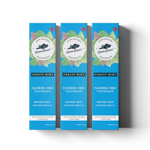 Frosty Mint Natural Organic Vegan Toothpaste - Fluoride & Gluten Free, 75ml, 3 Pack