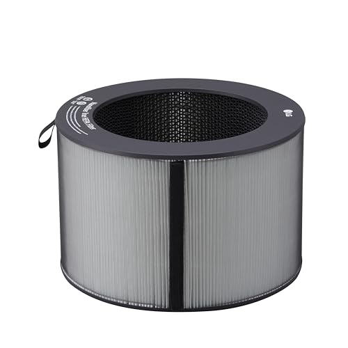LG NanoFiber True HEPA Replacement Filter for PuriCare 360 AS601HBB0 - Authentic LG