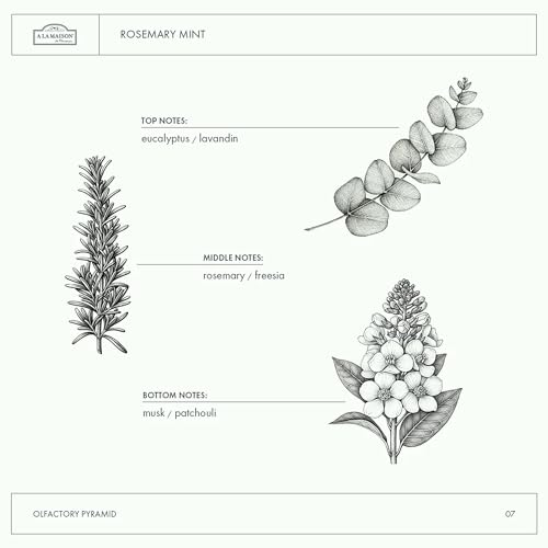 Rosemary Mint Hand Wash - Natural French Liquid Soap with Essential Oils