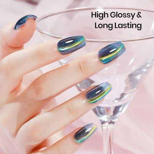 Magnetic Nail Polish Gel Set - 12 Vibrant Cat Eye Colors with Magnet for Mesmerizing 3D Effects