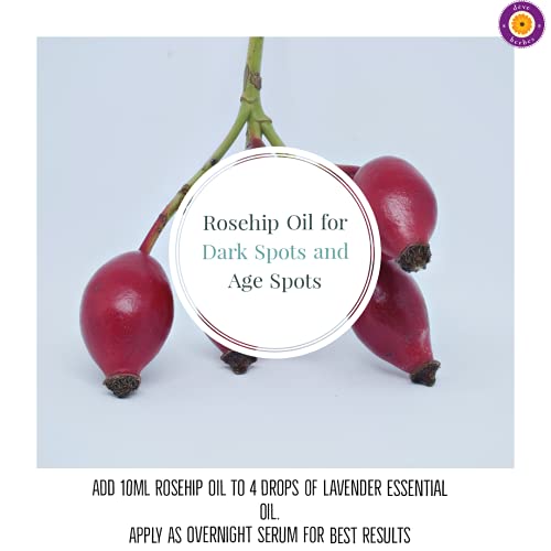 d?ve herbes Rosehip Oil (Rosa rubiginosa) | Cold Pressed | Pure | Natural | Undiluted | For Diluting Essential oils | For Skin & Massage | Non-Sticky| Lightweight| Men & Women | 50ml (1.69 oz)