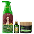 Herbishh Burgundy Red Color Shampoo 500ml + Argan Hair Mask 150ml & Oil 30ml - Variation of Burgundy