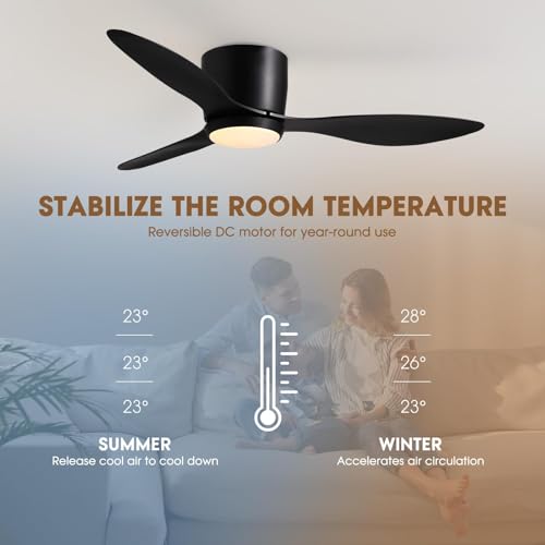 LUDOMIDE 42 Inch Black Ceiling Fan with Lights, Remote & Wall Control, Dimmable, Reversible Motor, Indoor Flush Mount