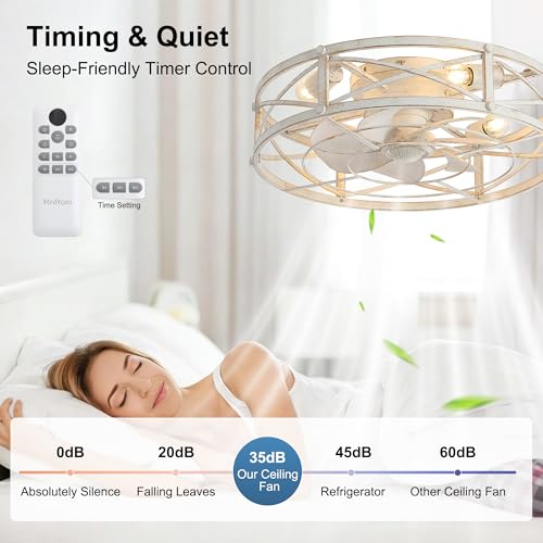20-Inch White Gold Industrial Caged Ceiling Fan with Light & Remote