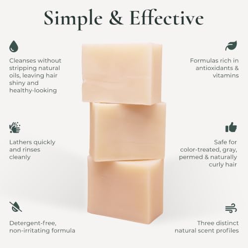 J.R.LIGGETT'S All-Natural Shampoo Bar 3-Pack - Tea Tree & Hemp, Jojoba & Peppermint, Coconut & Argan Oil