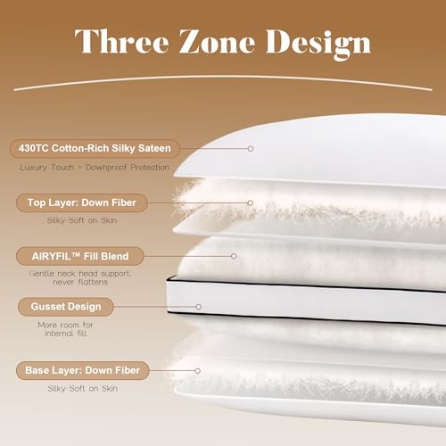 Queen Down Pillows 2 Pack - Luxury Hotel-Style Goose Feather Bedding