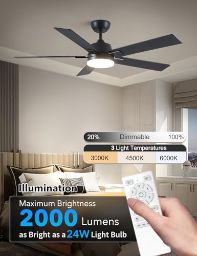 Rayqueen 52-Inch Black Ceiling Fan with Lights & Remote, Downrod Mount, Modern Design