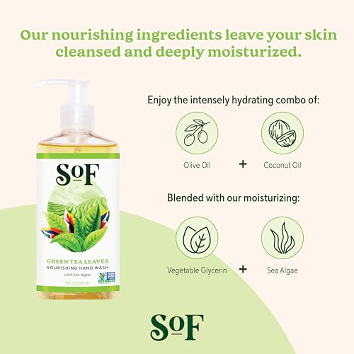 Green Tea Hand Wash Set - Moisturizing Sea Algae, Coconut & Olive Oil - Vegan, Non-GMO - 8 oz Bottles, Pack of 6