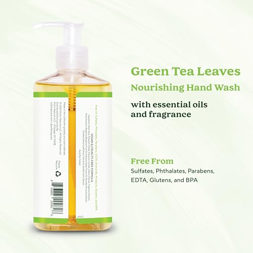 Green Tea Hand Wash Set - Moisturizing Sea Algae, Coconut & Olive Oil - Vegan, Non-GMO - 8 oz Bottles, Pack of 6