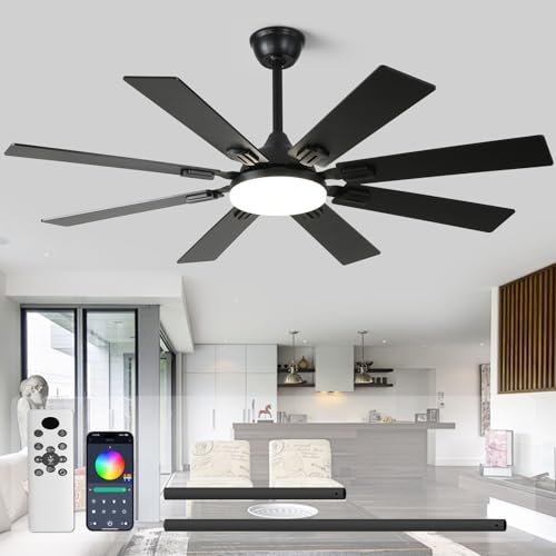 Fanyamei 52-Inch Black Ceiling Fan with Lights & Remote, Modern Farmhouse Reversible Blades
