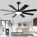 Fanyamei 52-Inch Black Ceiling Fan with Lights & Remote, Modern Farmhouse Reversible Blades
