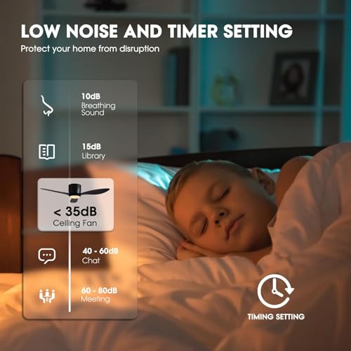 LUDOMIDE 42 Inch Black Ceiling Fan with Lights, Remote & Wall Control, Dimmable, Reversible Motor, Indoor Flush Mount