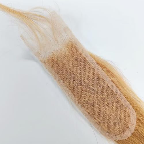 Honey Blonde 2x6 HD Lace Frontal Closure 10 Inch Straight Brazilian Virgin Hair