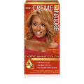 Exotic Shine Hair Color by Creme of Nature, 10.0 Honey Blonde, with Argan Oil from Morocco, 1 Application